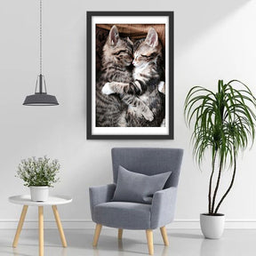 Zwei schlafende Katzen Diamond Painting