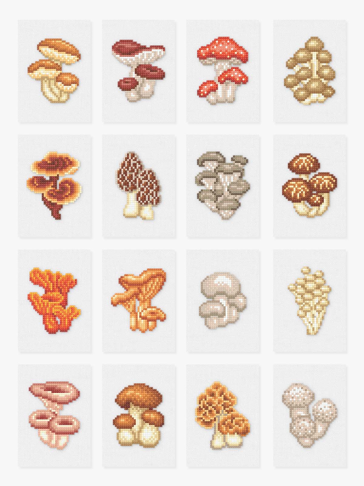 Mushrooms Edition