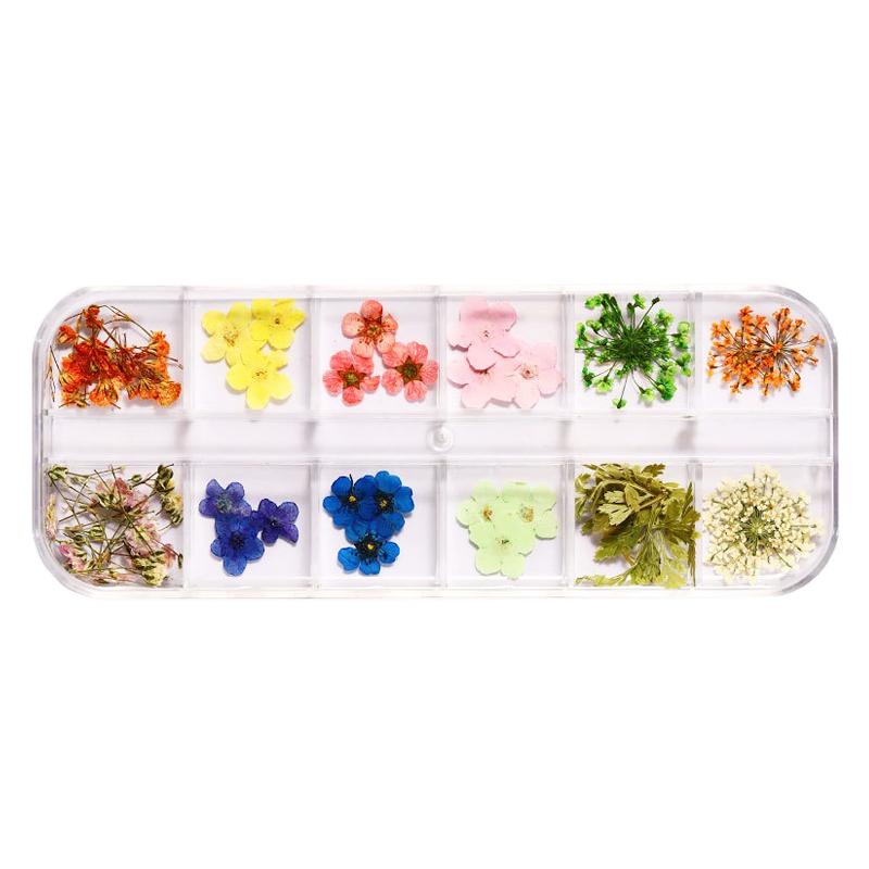 Floral Beauty Dry Flower Kit